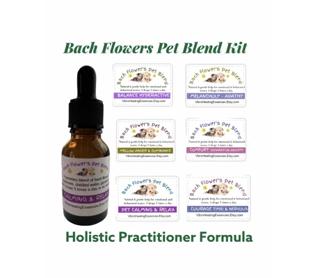 Pet Behavior Flower Essences. Healing