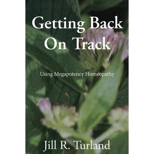 Getting Back On Track- Jill R Turland- Used Book