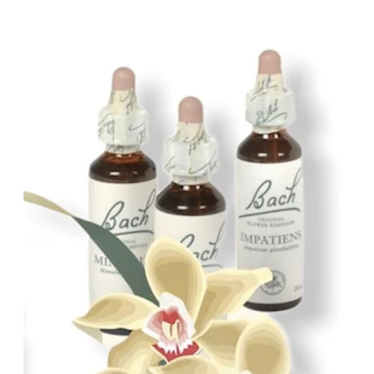 Styes Blepharitis Chalazion Serum - Holistic support