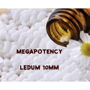 Megapotency Remedies Ledum 10 MM