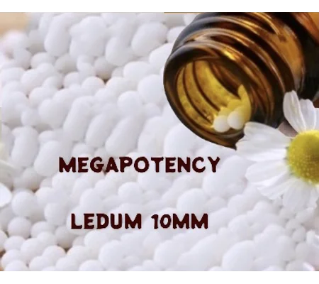 Megapotency Remedies Ledum 10 MM