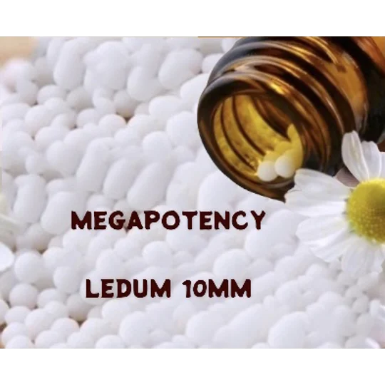 Megapotency Remedies Ledum 10 MM