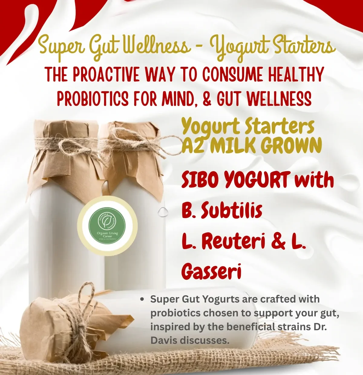 SuperGut Yogurt Starters | Probiotic Cultures & A2 Milk