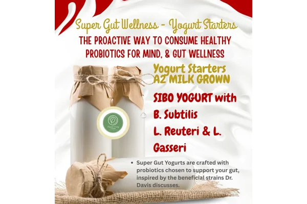 SuperGut Yogurt Starters | Probiotic Cultures & A2 Milk