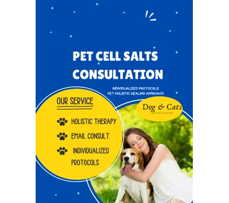 Cell Salts Consultation for Pets