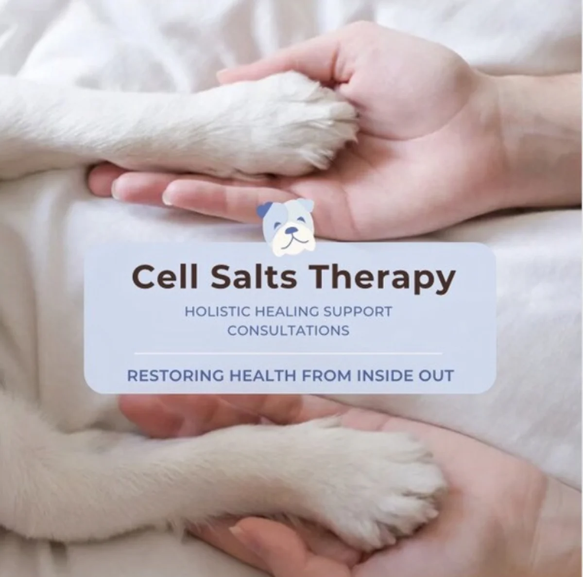 The Healing Power of Schuessler Cell Salts for Pets: Unlocking Their Benefits
