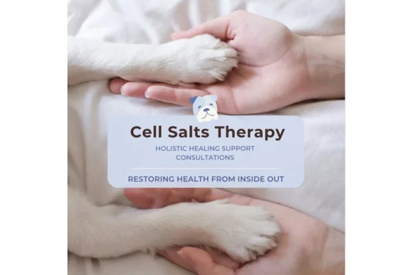 The Healing Power of Schuessler Cell Salts for Pets: Unlocking Their Benefits
