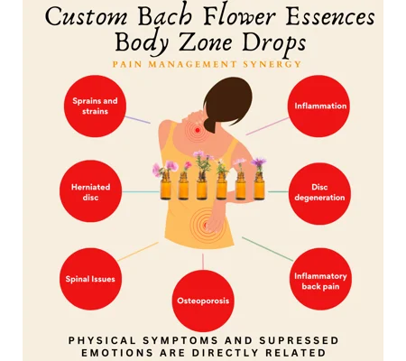 Custom Pain Management Bach Flower Essences Body Zone Therapy - CONSULT & REMEDY