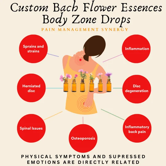 Custom Pain Management Bach Flower Essences Body Zone Therapy - CONSULT & REMEDY
