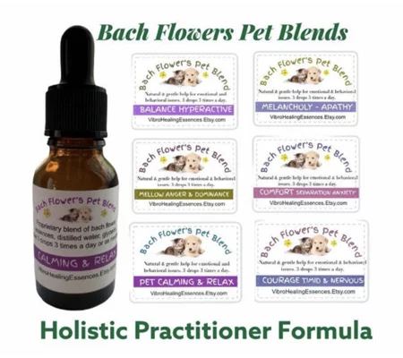 Pet Bach Flower Essences. Pet Healing