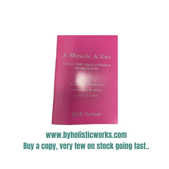 A Miracle A Day - Jill Turland - The Pink Book