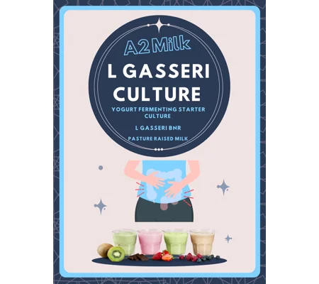 L. Gasseri A2 Milk Yogurt Starter Culture