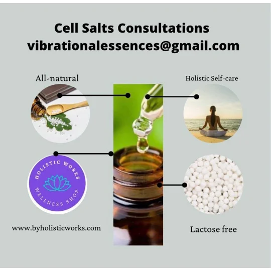 Schuessler Cell Salts Kit – 12 Tissue Salts Travel Set | Lactose-Free Globules | FREE Bioplasma, Res