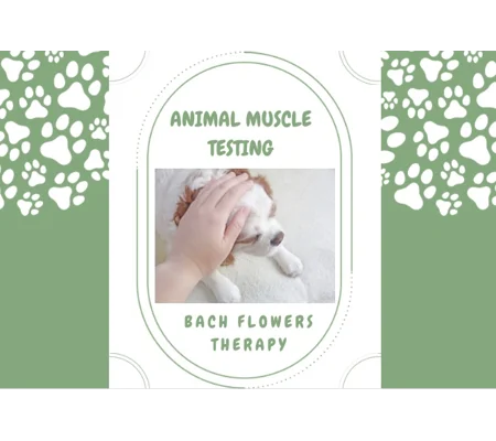 Animal Bach Flowers Therapy - Muscle Testing
