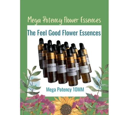 Feel Good Flower Essences Mega Potency. Flower Essences 10MM. Homeopathic flower essences