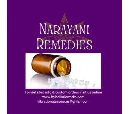 Shop Narayani Five Element Set