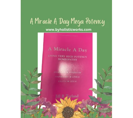 A Miracle A Day - Jill Turland - The Pink Book