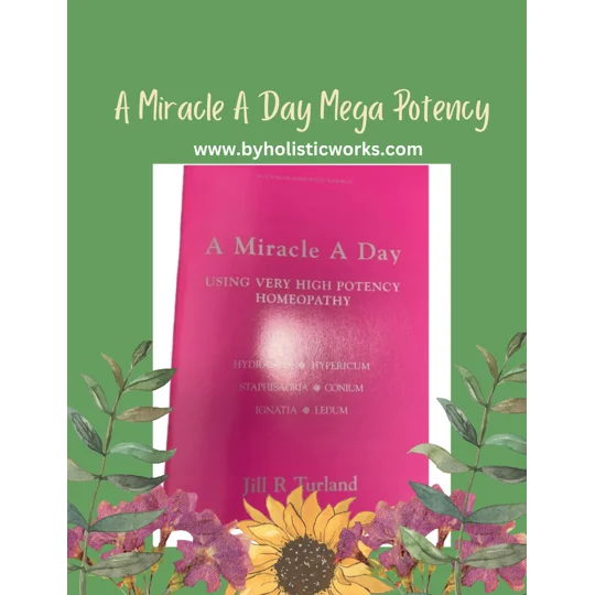 A Miracle A Day - Jill Turland - The Pink Book