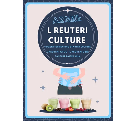 L. Reuteri A2 Milk Yogurt Starter Culture