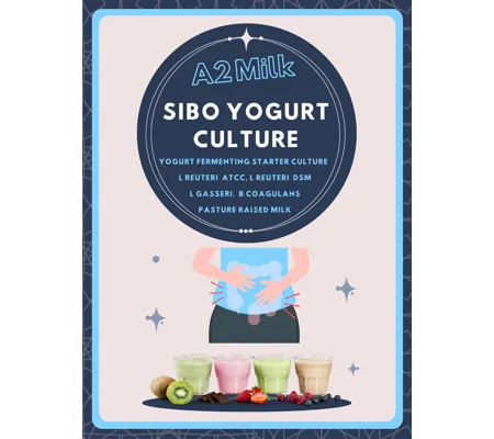 L. Casei Shirota A2 Milk Yogurt Starter Culture