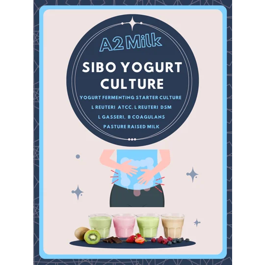 L. Casei Shirota A2 Milk Yogurt Starter Culture