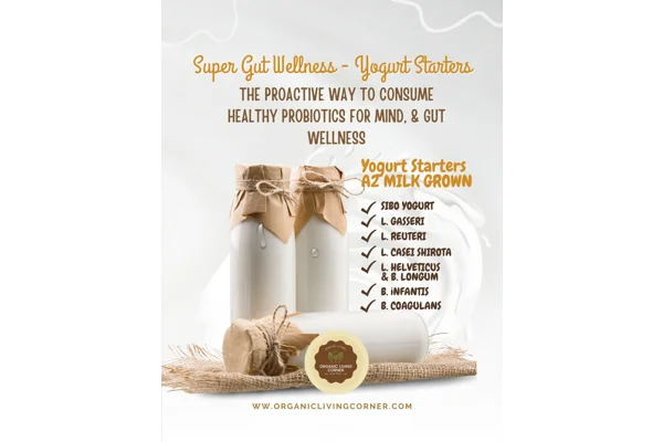 Super Gut DIY Probiotic Cultures In A2 Milk