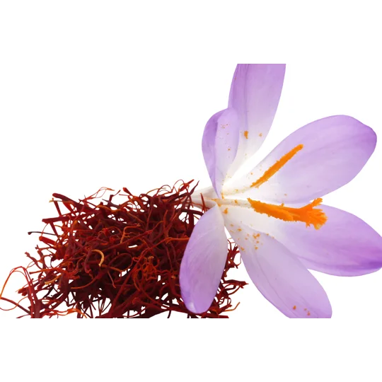 Ayurvedic Yoni Moist Bliss Oil – Natural Relief for Vaginal Dryness