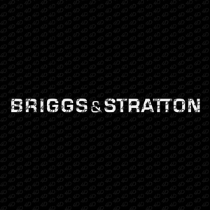 Briggs & Stratton