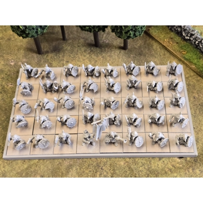 Steppe Goblins with weapons & Shields x40