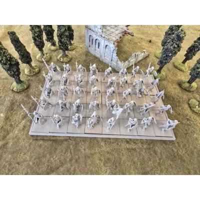 Skeleton Warriors with Swords & Shields x40