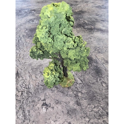Extra Large Decidious Tree 1