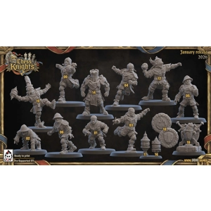 Chess Knights (Chivalric Knights) Part.1 Bloodbowl Team