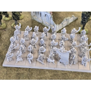 Skeleton Guard with great weapons x40