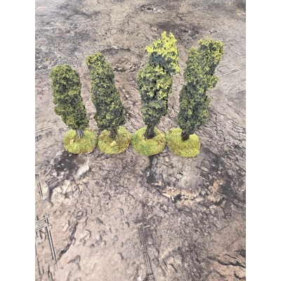 Small Single Conifer Tree