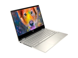 Laptop HP Pavilion x360 14 dy0076TU (46L94PA)