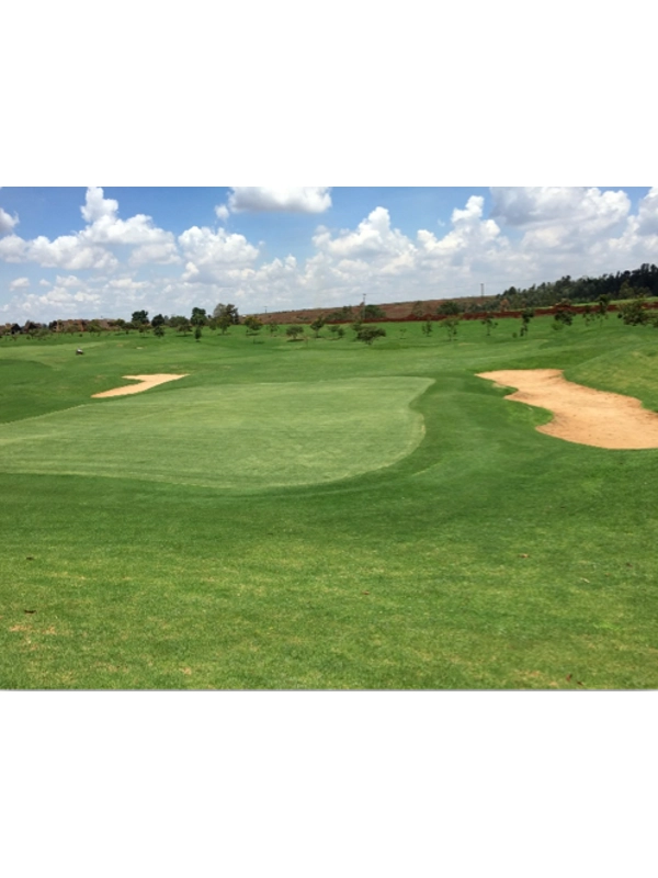 Quarter and 1/2 Acre Plot at Migaa Golf Estate