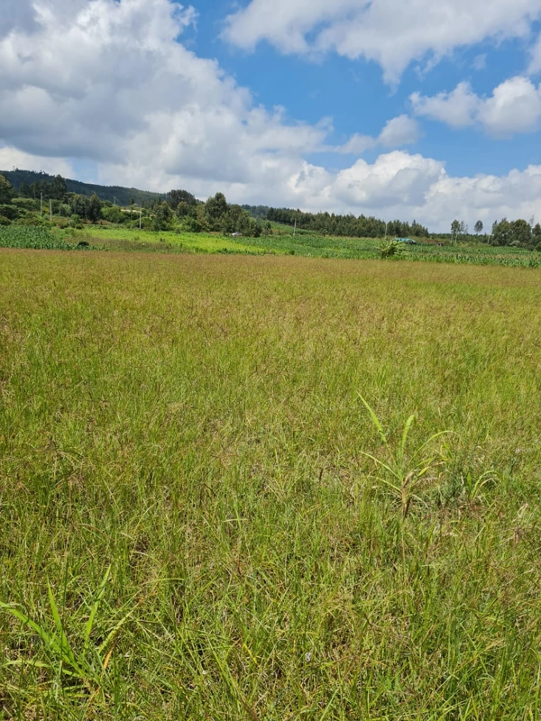 Land 1/8th acre Kamangu Thigio