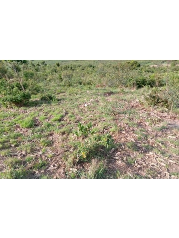 land for sale in Shyogwe, Muhanga