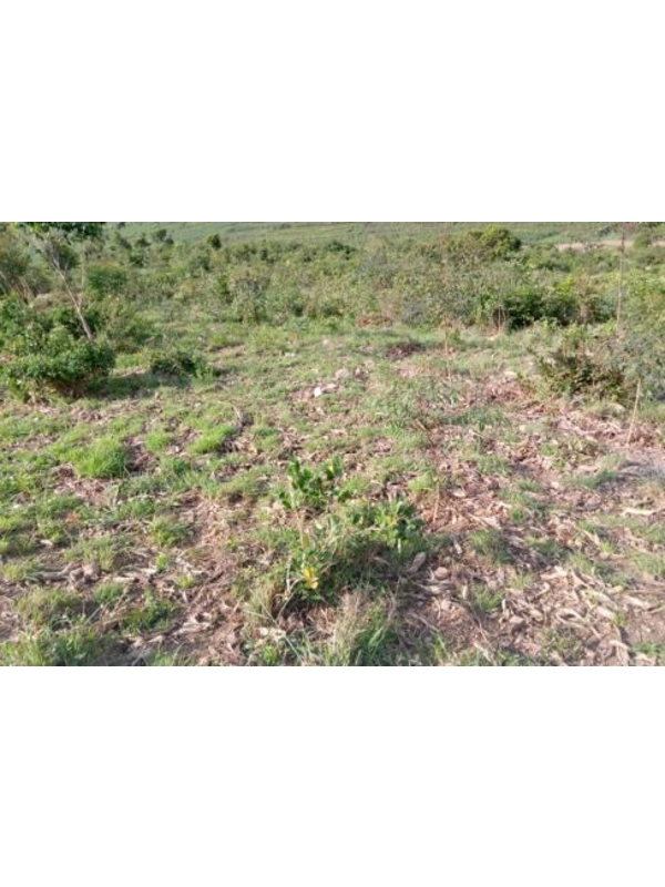 land for sale in Shyogwe, Muhanga