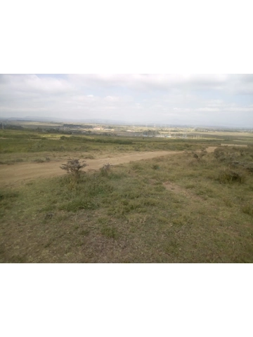 Naivasha plots for sale