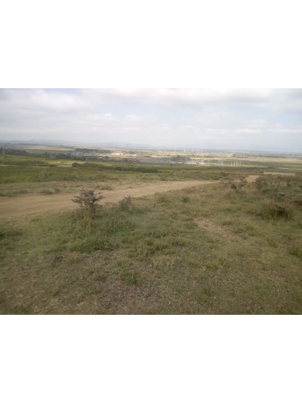 Naivasha plots for sale