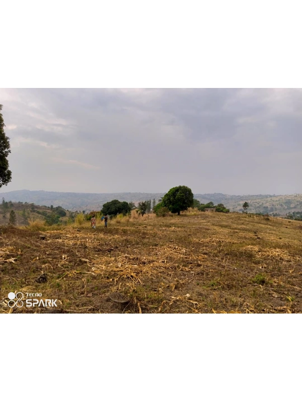 3 square mailo of land with private mailo land on sale per acre-saf