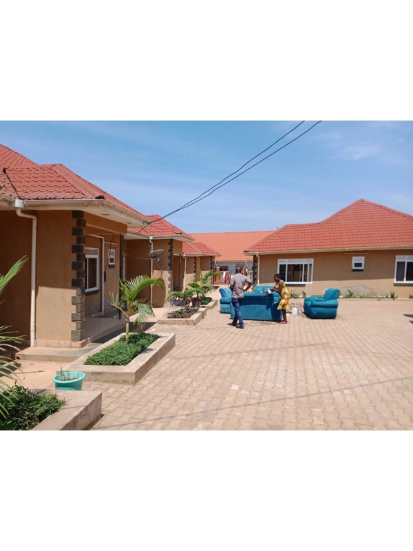 Bunga house-saf