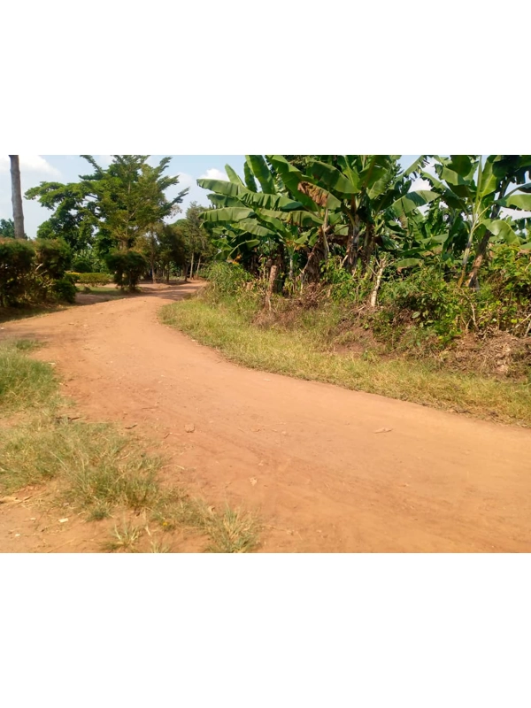 22 ACERS OF LAND FOR SALE IN GAYAZA NAMULONGE TOWN