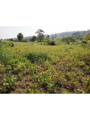 11 acres of Land in Uganda-saf