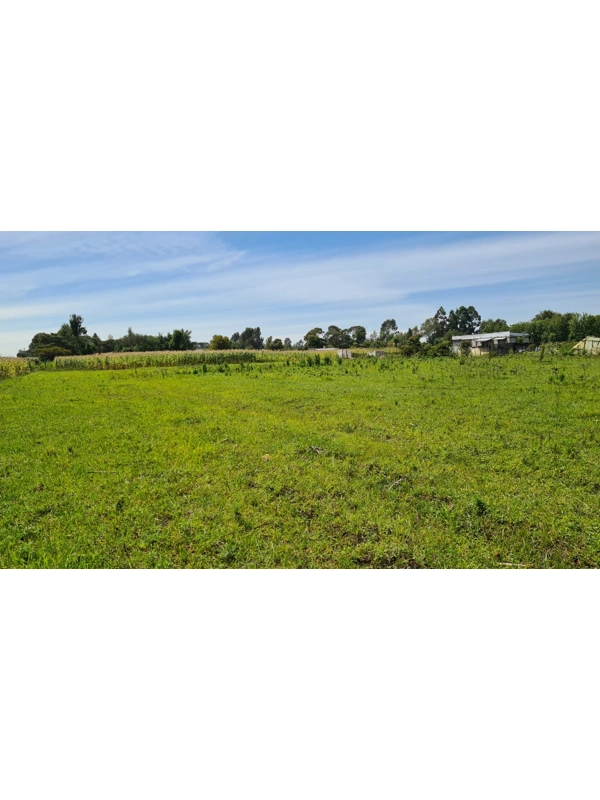 Land for sale in Mangu Nakuru- 50 by 100 plots