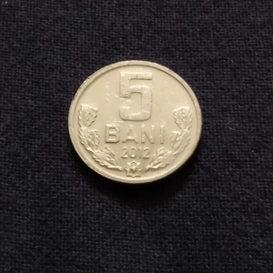 5 Bani - Moldova