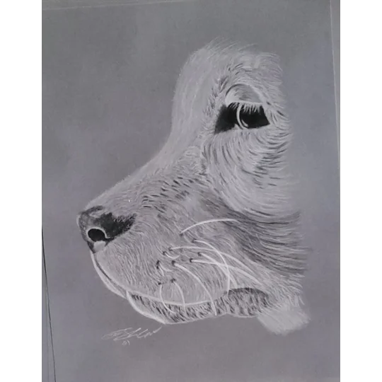 print 8x10 of original artwork by Felicia