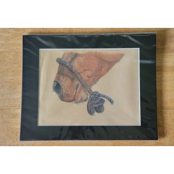 Matted print of 