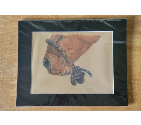 Matted print of "Muzzle" by Felicia C